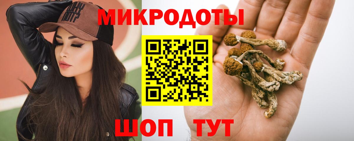 Галлюциногенные грибы прущие грибы Рязань